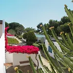Girasole Capo Vaticano