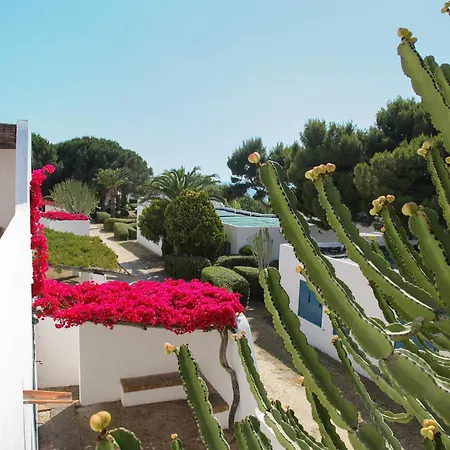 Girasole 카포바티카노