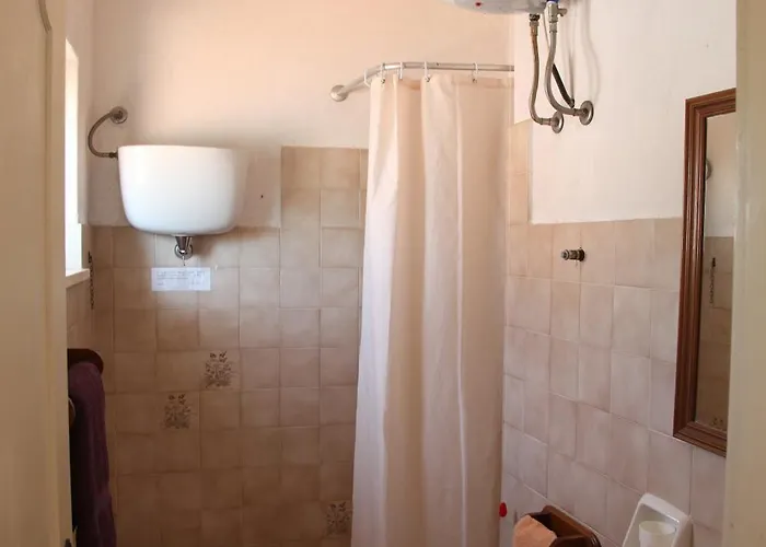 Girasole Capo Vaticano