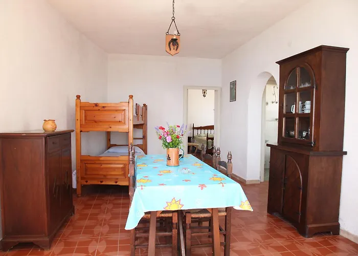 Girasole Capo Vaticano